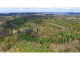 Property photo 37 - LAND AUCTION - 2,596+/- ACRES IN 28 TRACTS IN COSHOCTON & MUSKINGUM COUNTIES, OHIO